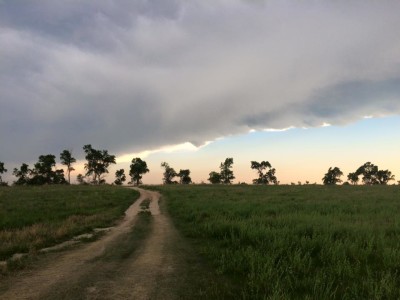 Storm Brewing