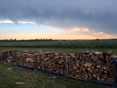 Wood Storm